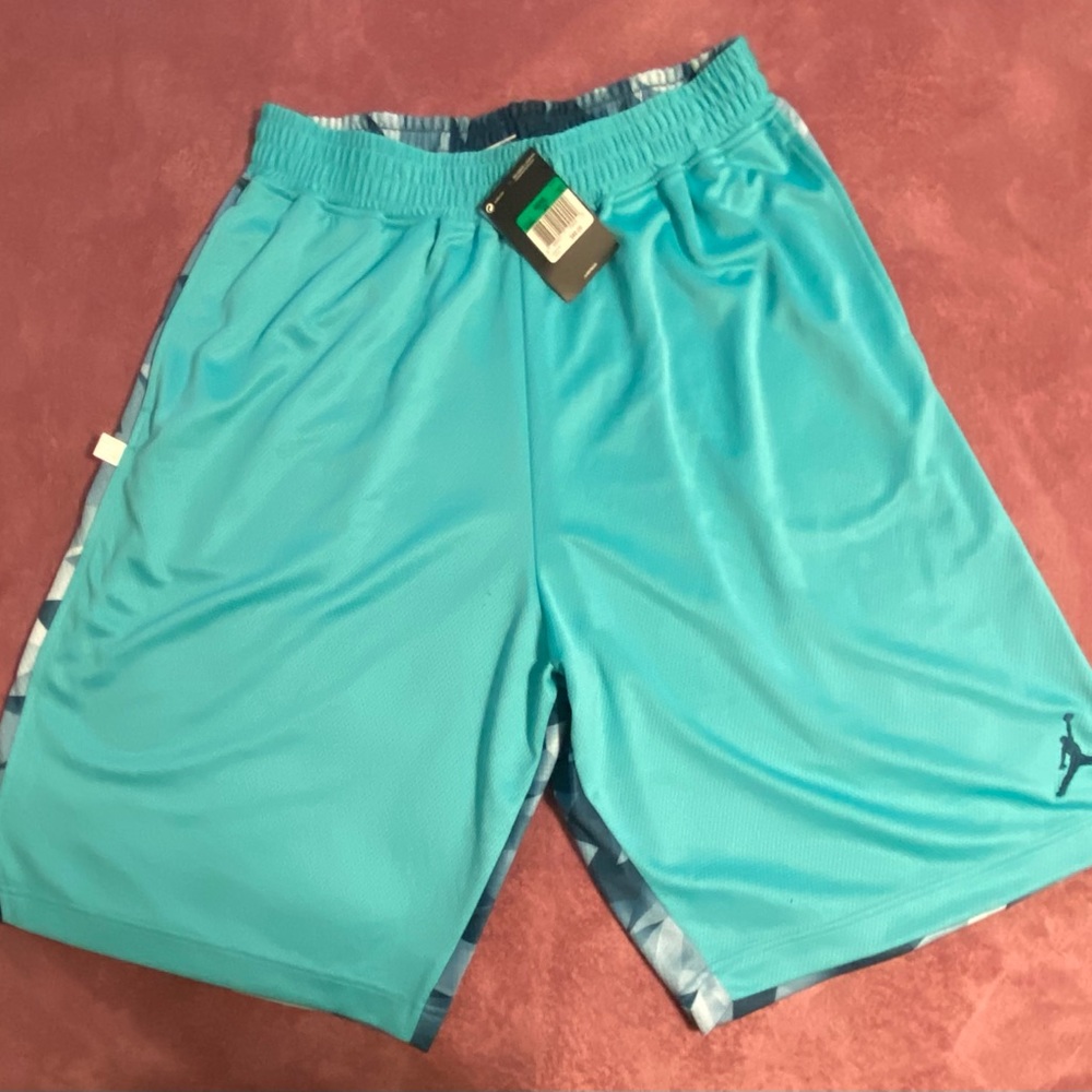 Jordan basketball shorts teal colored in the front and multi-colored in the back